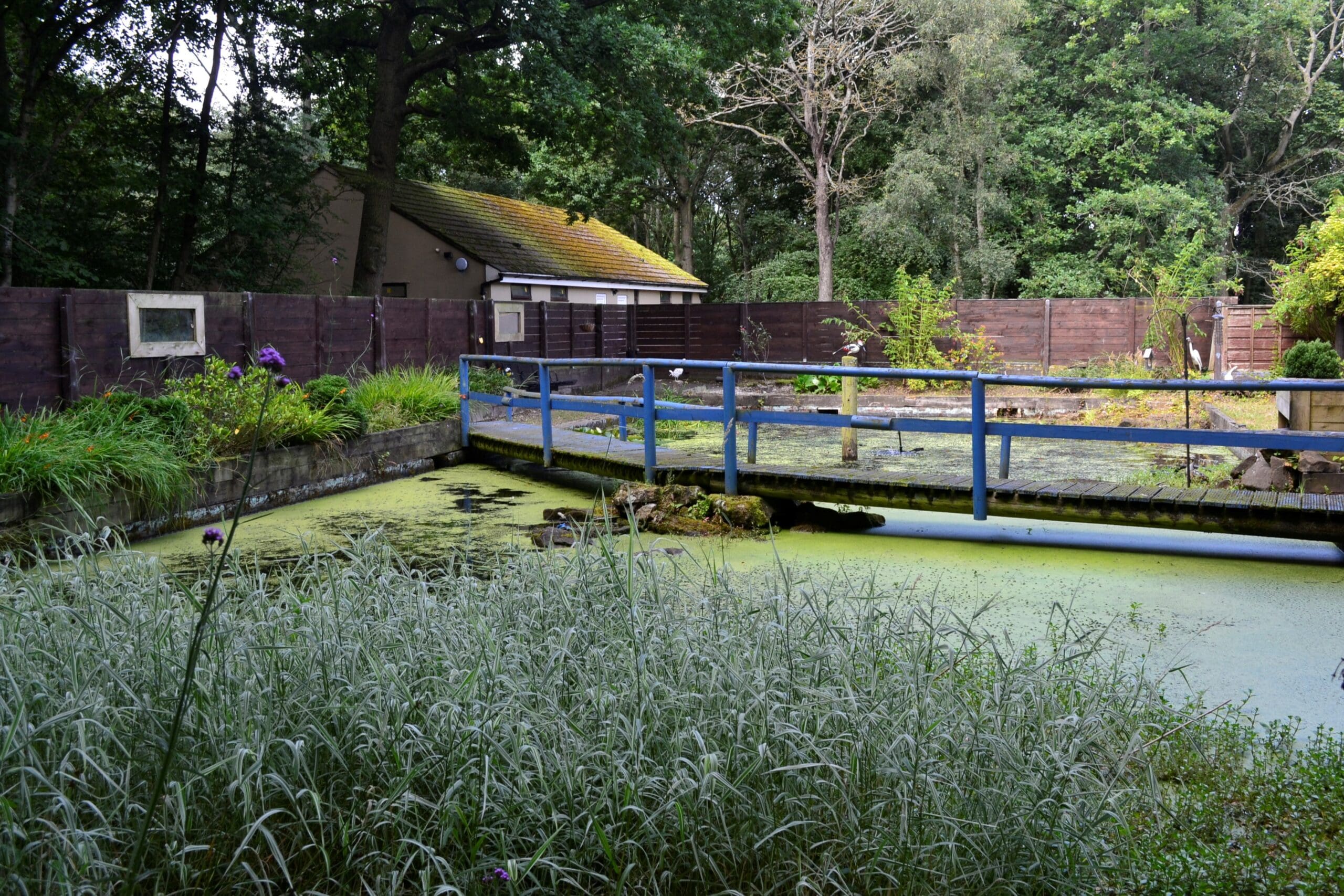 Nature Area